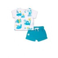 White blue chiffon knit set for boy Turtles 