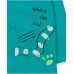 Blue knit t-shirt for boy Cattitude 