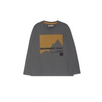 Gray knit T-shirt for boy New Horizons 