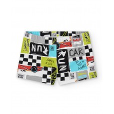 Swim boxer for boys Race Car collection