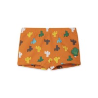 ORANGE CACTUS BOXERS FOR BOYS FUNCACTUS