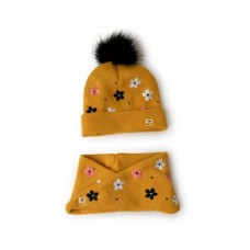 Knit hat and collar dog's mix  